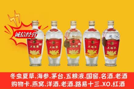 周口市回收老五粮液